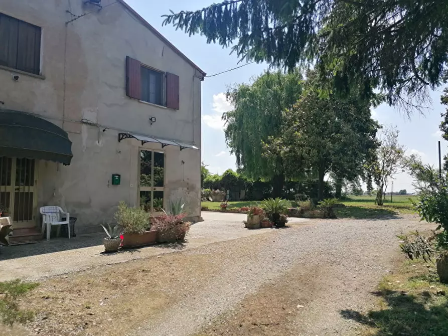 Immagine 7 di Casa bifamiliare in vendita  in via meolo 1402 a Lusia