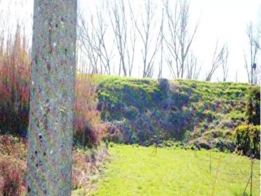 Immagine 5 di Negozio in vendita  in VIA TRENTO 20 a Crespino