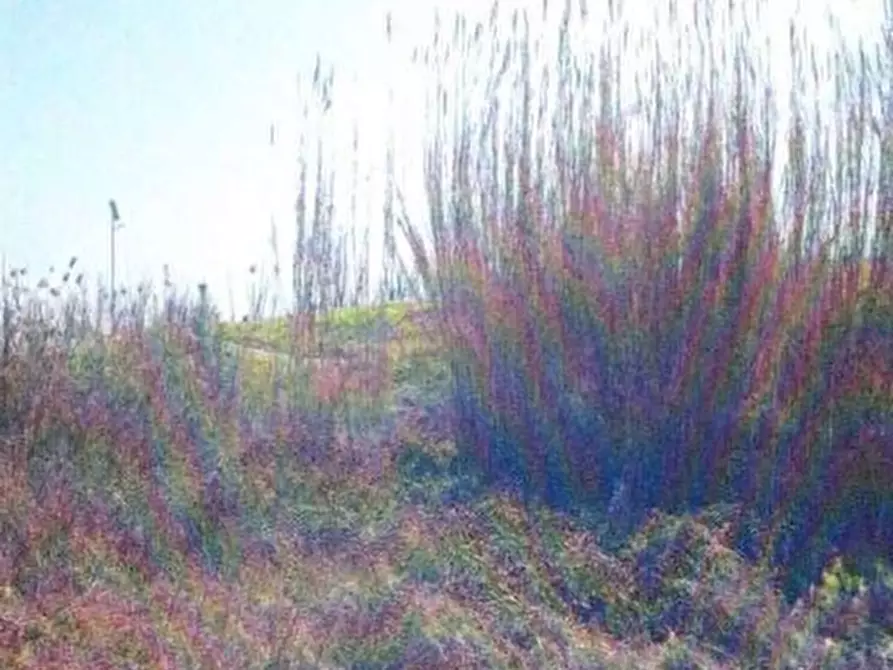 Immagine 7 di Negozio in vendita  in VIA TRENTO 20 a Crespino