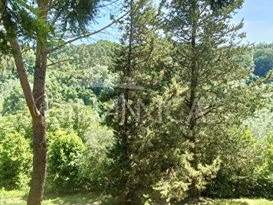 Immagine 8 di Rustico / casale in vendita  a San Miniato