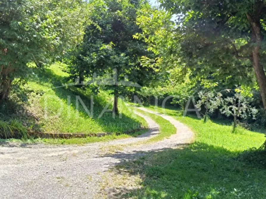 Immagine 45 di Rustico / casale in vendita  a San Miniato