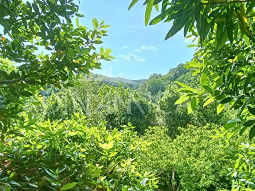 Immagine 47 di Rustico / casale in vendita  a San Miniato