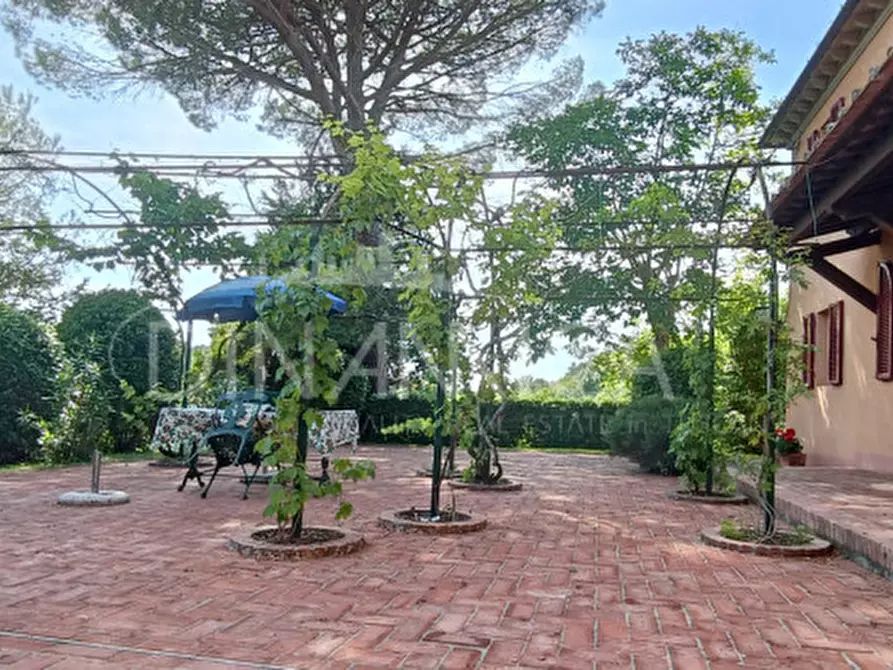 Immagine 48 di Rustico / casale in vendita  a San Miniato