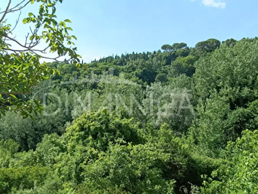 Immagine 51 di Rustico / casale in vendita  a San Miniato