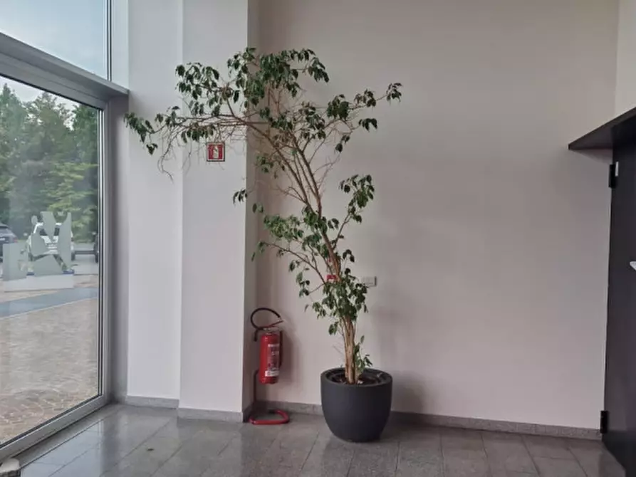 Immagine 3 di Ufficio in vendita  a Venezia