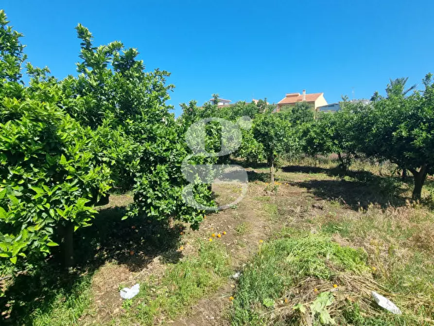 Immagine 13 di Appartamento in vendita  in VIA GIUSEPPE GARIBALDI, 24 a Torregrotta