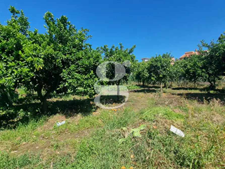 Immagine 28 di Appartamento in vendita  in VIA GIUSEPPE GARIBALDI, 24 a Torregrotta