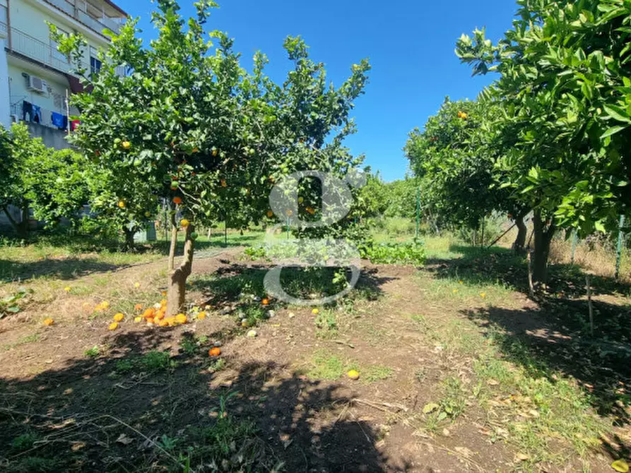 Immagine 29 di Appartamento in vendita  in VIA GIUSEPPE GARIBALDI, 24 a Torregrotta