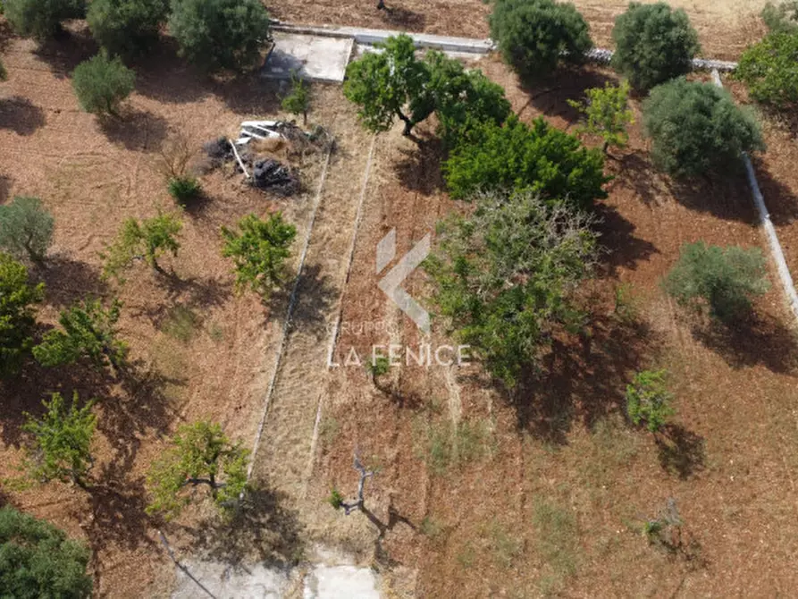 Immagine 5 di Rustico / casale in vendita  in contrada bellezza a Martina Franca