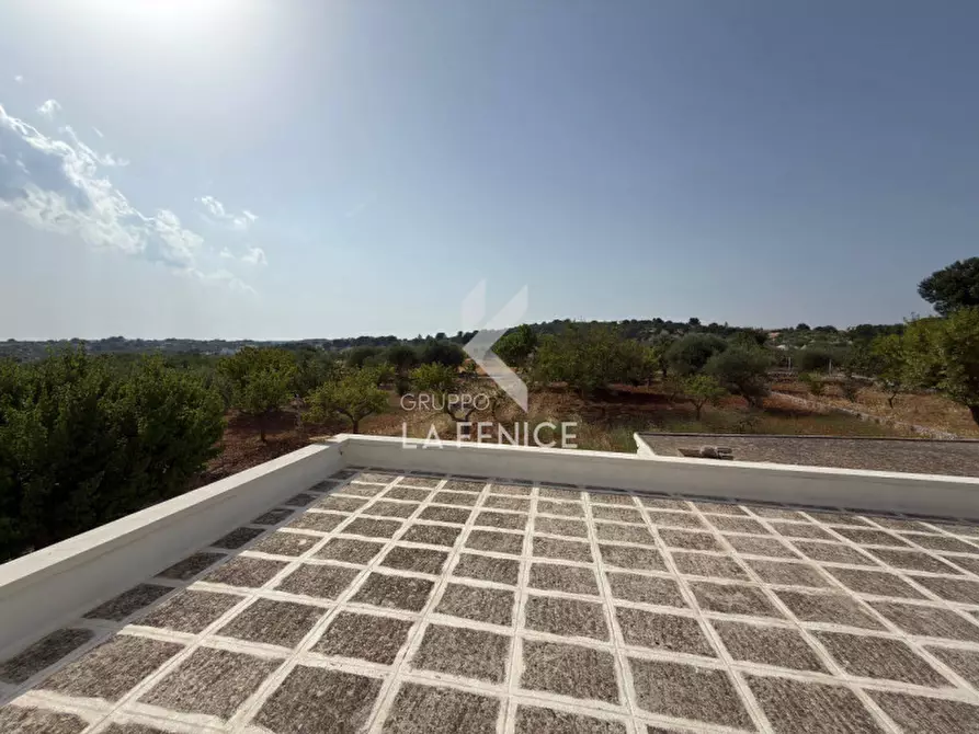 Immagine 48 di Rustico / casale in vendita  in contrada bellezza a Martina Franca