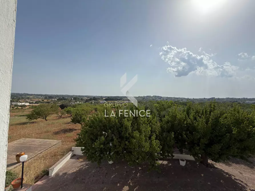 Immagine 53 di Rustico / casale in vendita  in contrada bellezza a Martina Franca