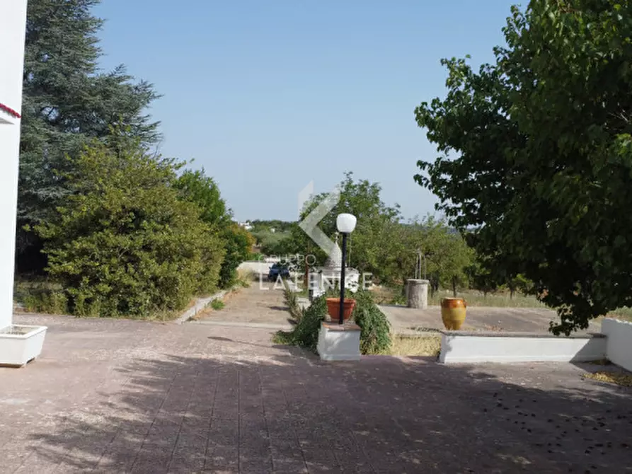 Immagine 54 di Rustico / casale in vendita  in contrada bellezza a Martina Franca