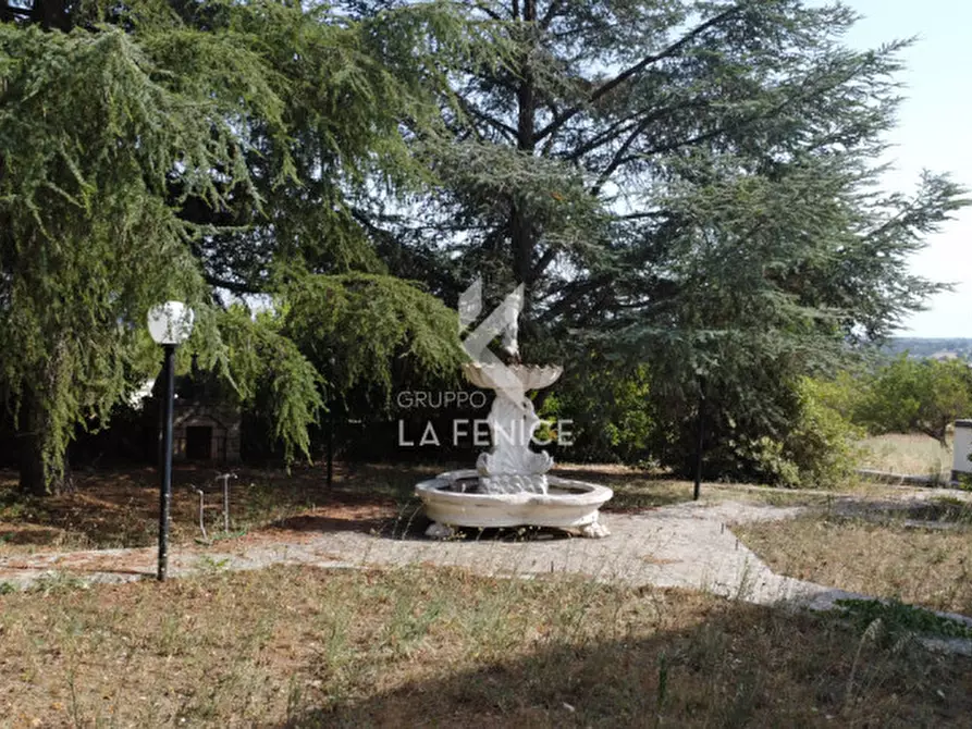 Immagine 56 di Rustico / casale in vendita  in contrada bellezza a Martina Franca