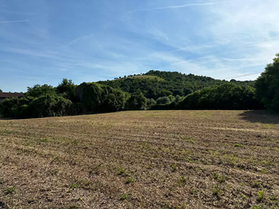 Immagine 7 di Rustico / casale in vendita  in Via Commezzare a Arqua' Petrarca