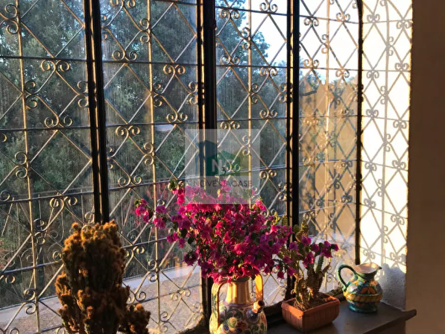 Immagine 22 di Villa in vendita  in via zaro 9 a Forio