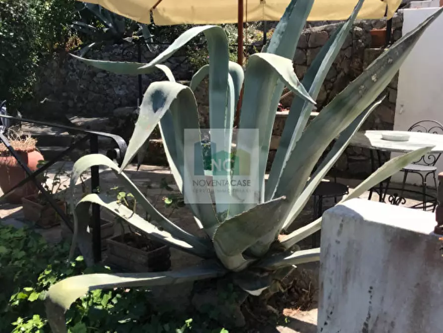 Immagine 24 di Villa in vendita  in via zaro 9 a Forio