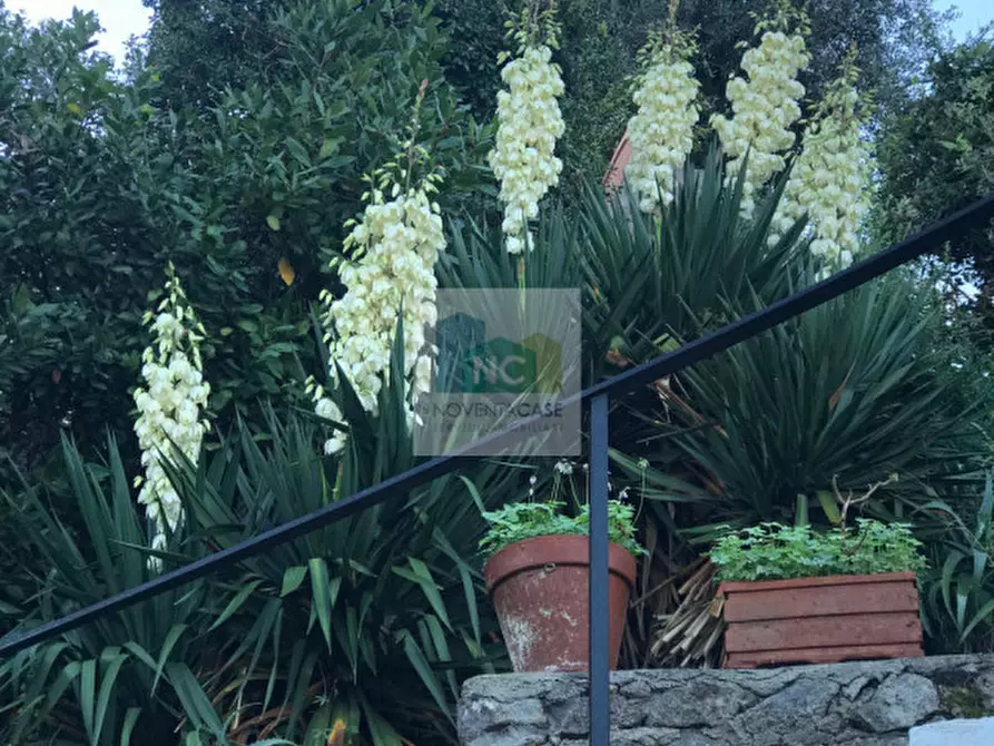 Immagine 25 di Villa in vendita  in via zaro 9 a Forio