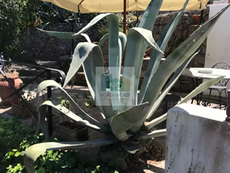 Immagine 32 di Villa in vendita  in via zaro 9 a Forio