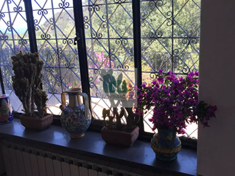 Immagine 34 di Villa in vendita  in via zaro 9 a Forio