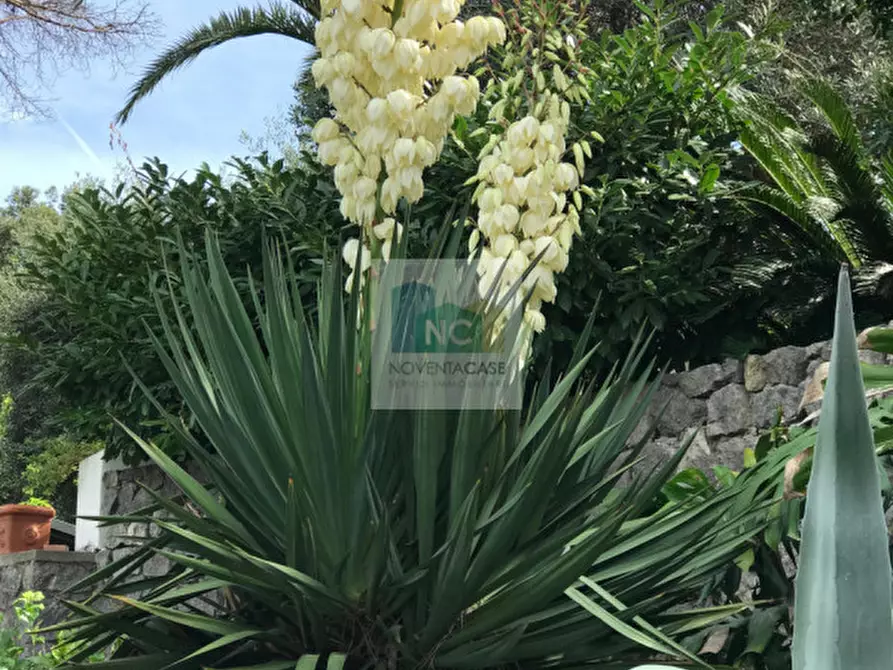 Immagine 39 di Villa in vendita  in via zaro 9 a Forio