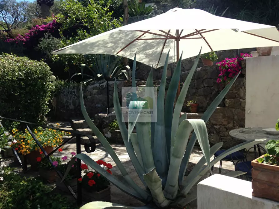 Immagine 53 di Villa in vendita  in via zaro 9 a Forio