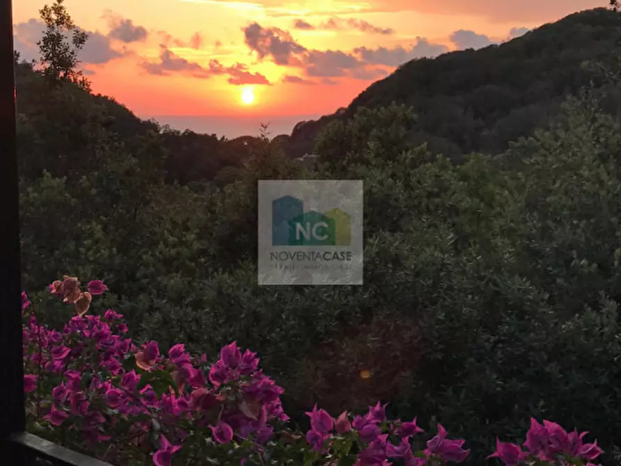 Immagine 64 di Villa in vendita  in via zaro 9 a Forio