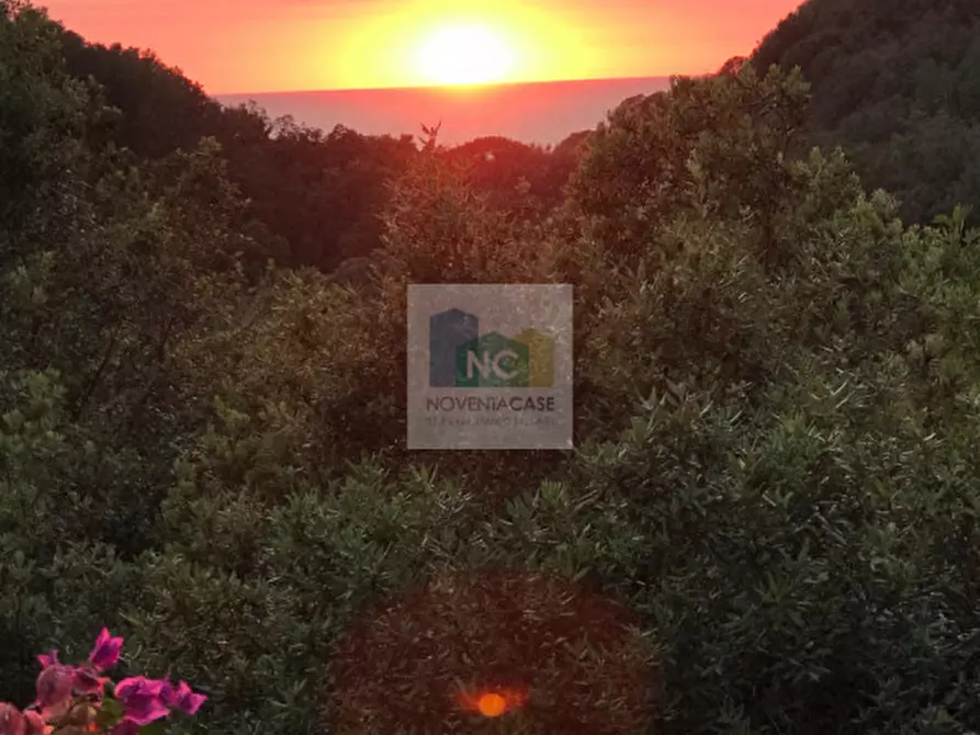 Immagine 65 di Villa in vendita  in via zaro 9 a Forio