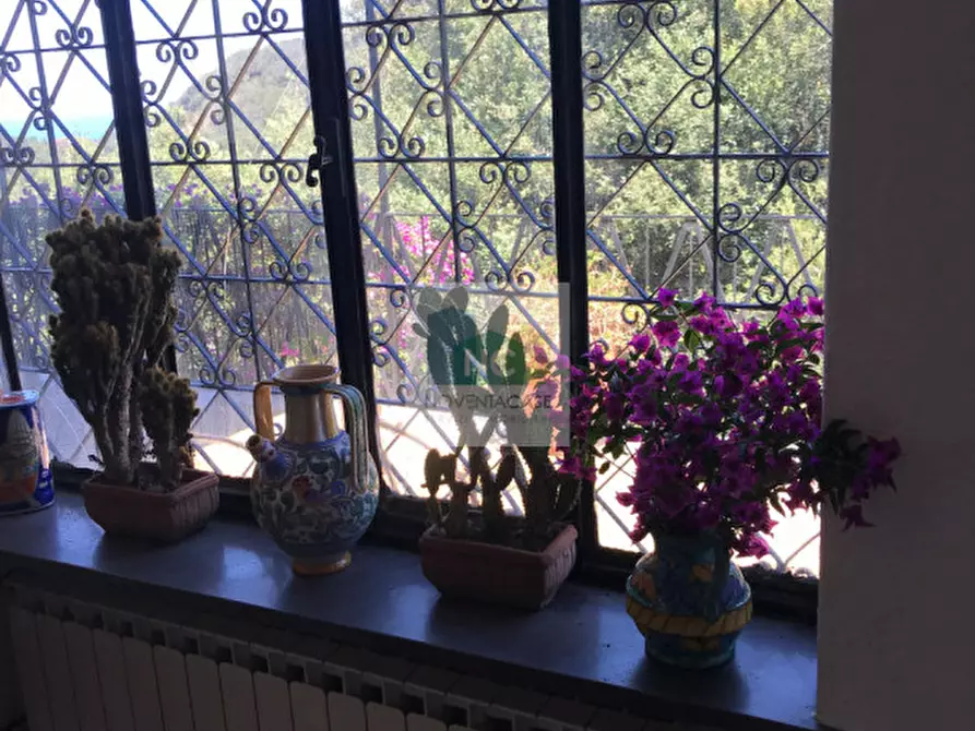 Immagine 75 di Villa in vendita  in via zaro 9 a Forio