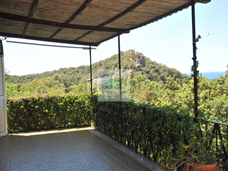 Immagine 77 di Villa in vendita  in via zaro 9 a Forio