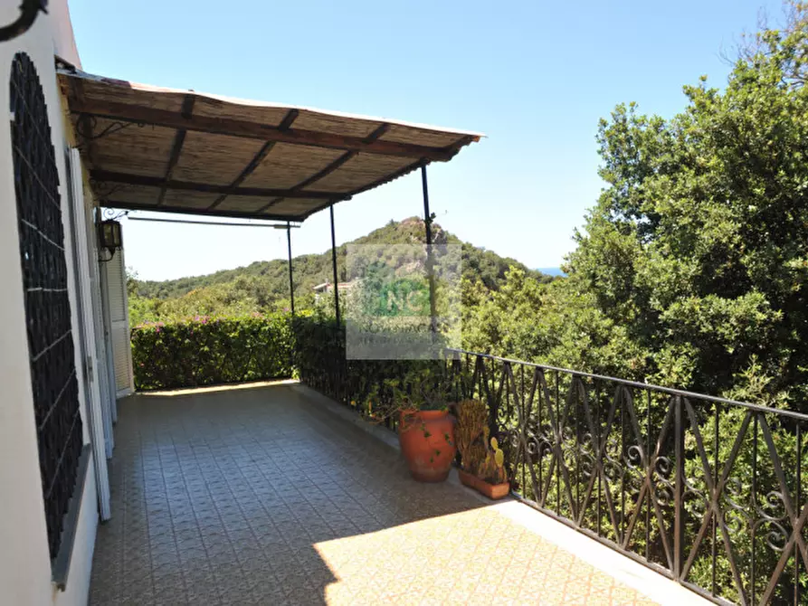 Immagine 78 di Villa in vendita  in via zaro 9 a Forio