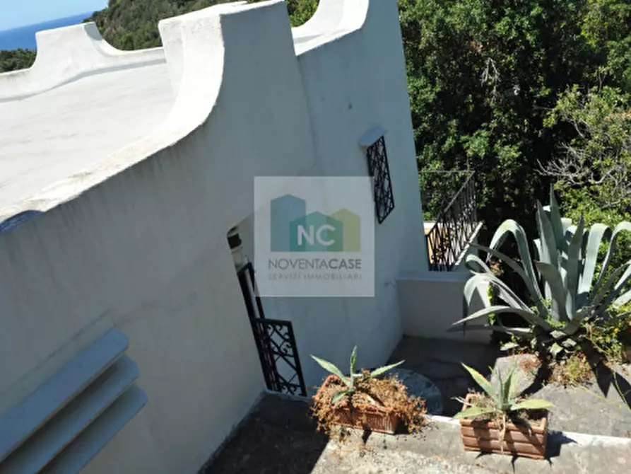 Immagine 89 di Villa in vendita  in via zaro 9 a Forio