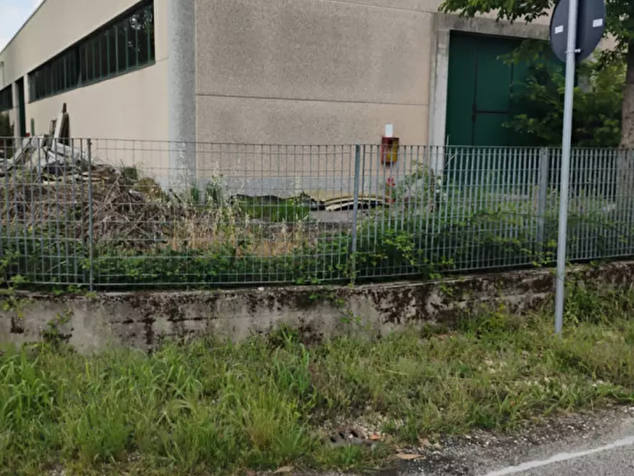 Immagine 4 di Capannone industriale in vendita  in Via Cavour a Casale Di Scodosia