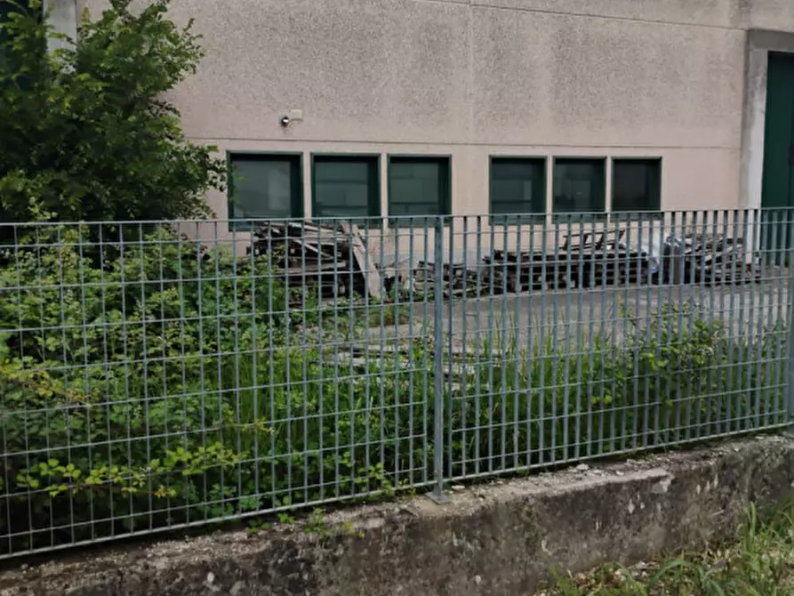 Immagine 5 di Capannone industriale in vendita  in Via Cavour a Casale Di Scodosia