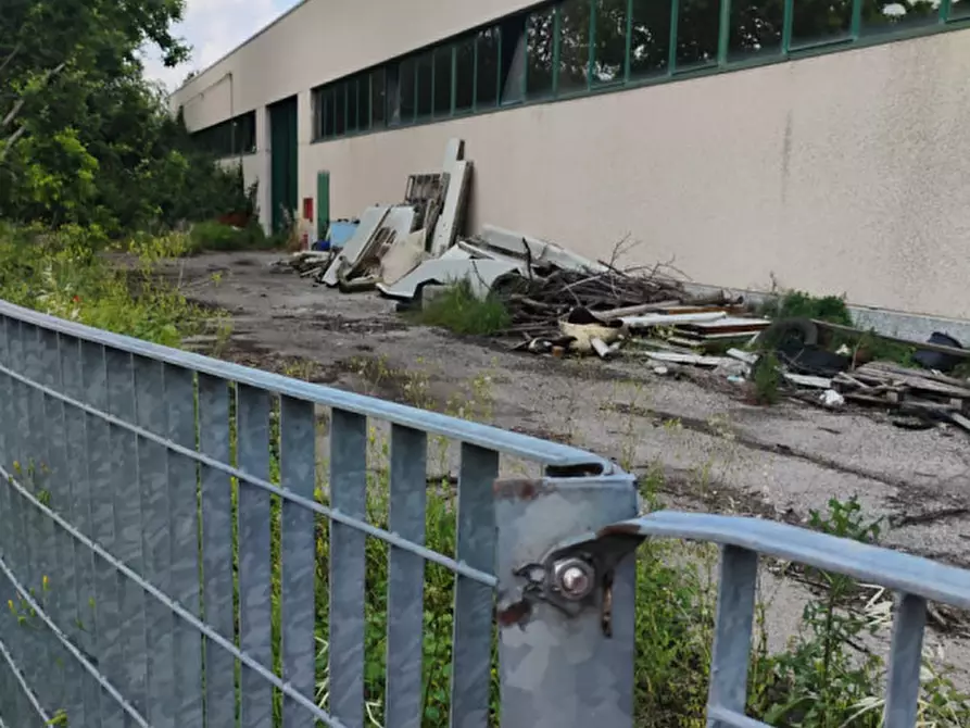 Immagine 7 di Capannone industriale in vendita  in Via Cavour a Casale Di Scodosia