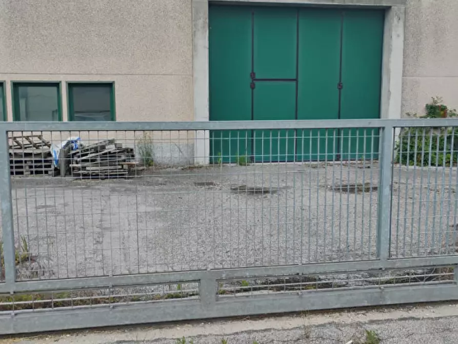 Immagine 10 di Capannone industriale in vendita  in Via Cavour a Casale Di Scodosia