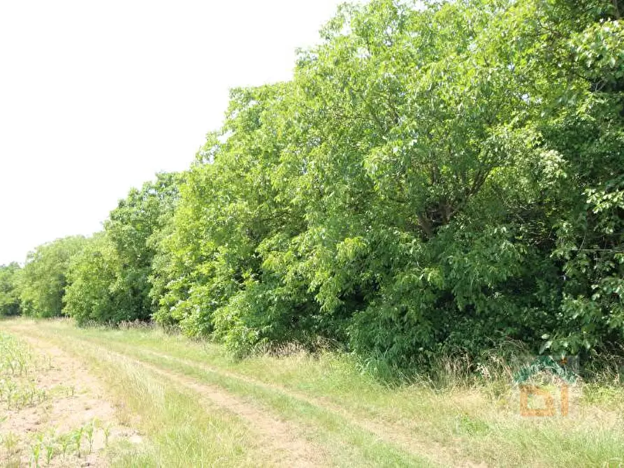 Immagine 1 di Terreno in vendita  in via Marconi snc a Aiello Del Friuli