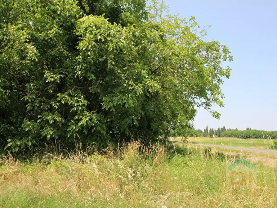 Immagine 2 di Terreno in vendita  in via Marconi snc a Aiello Del Friuli