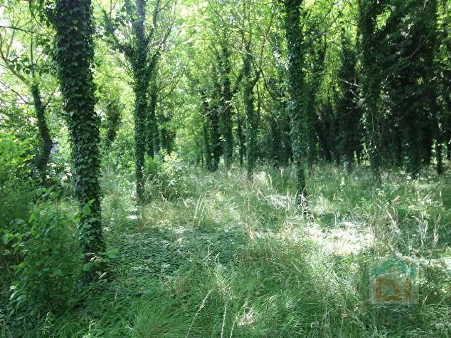 Immagine 4 di Terreno in vendita  in via Marconi snc a Aiello Del Friuli