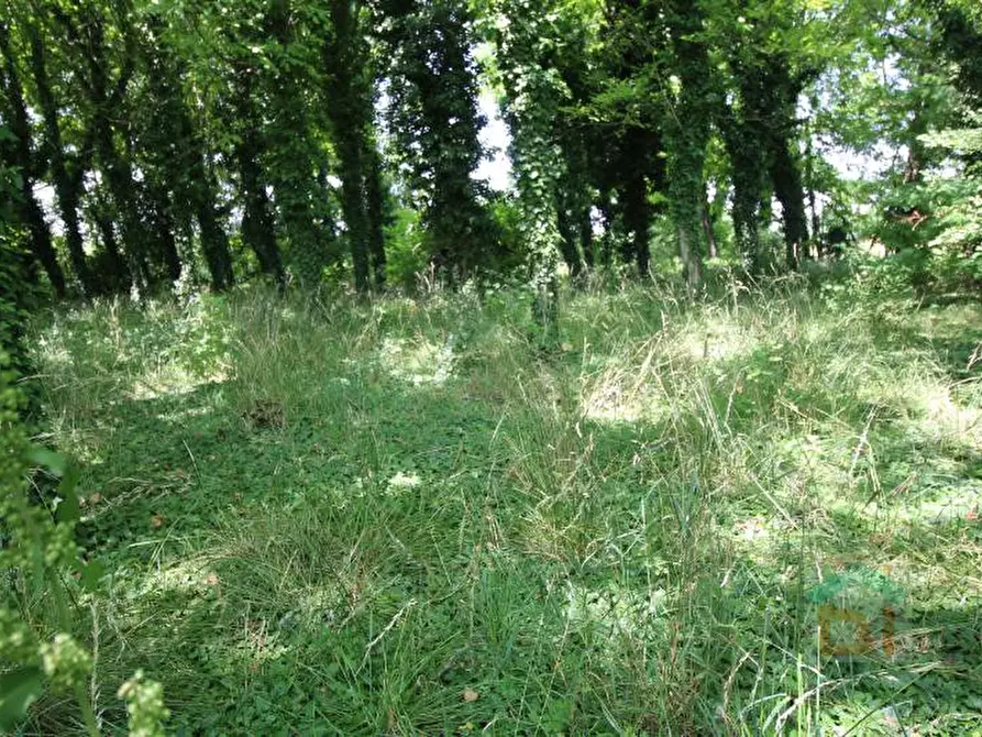 Immagine 5 di Terreno in vendita  in via Marconi snc a Aiello Del Friuli