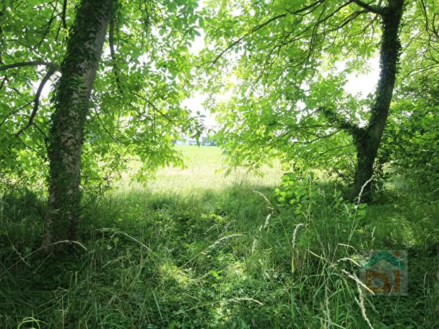 Immagine 6 di Terreno in vendita  in via Marconi snc a Aiello Del Friuli