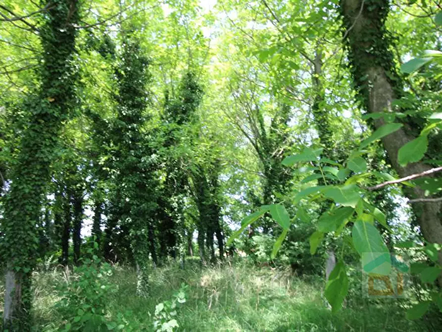 Immagine 7 di Terreno in vendita  in via Marconi snc a Aiello Del Friuli