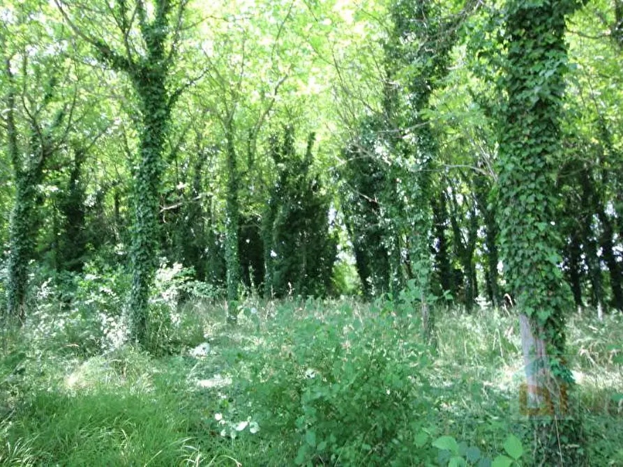 Immagine 8 di Terreno in vendita  in via Marconi snc a Aiello Del Friuli
