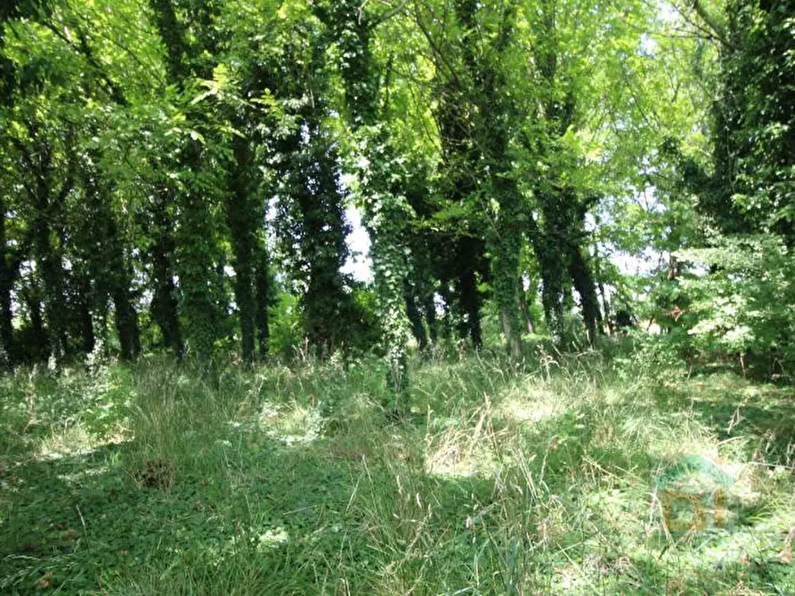 Immagine 9 di Terreno in vendita  in via Marconi snc a Aiello Del Friuli