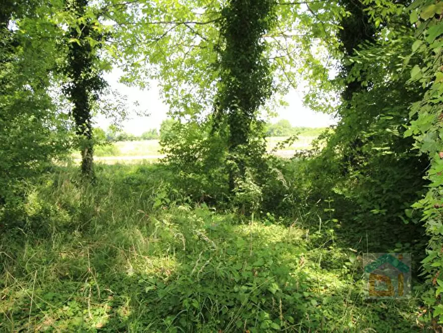 Immagine 10 di Terreno in vendita  in via Marconi snc a Aiello Del Friuli