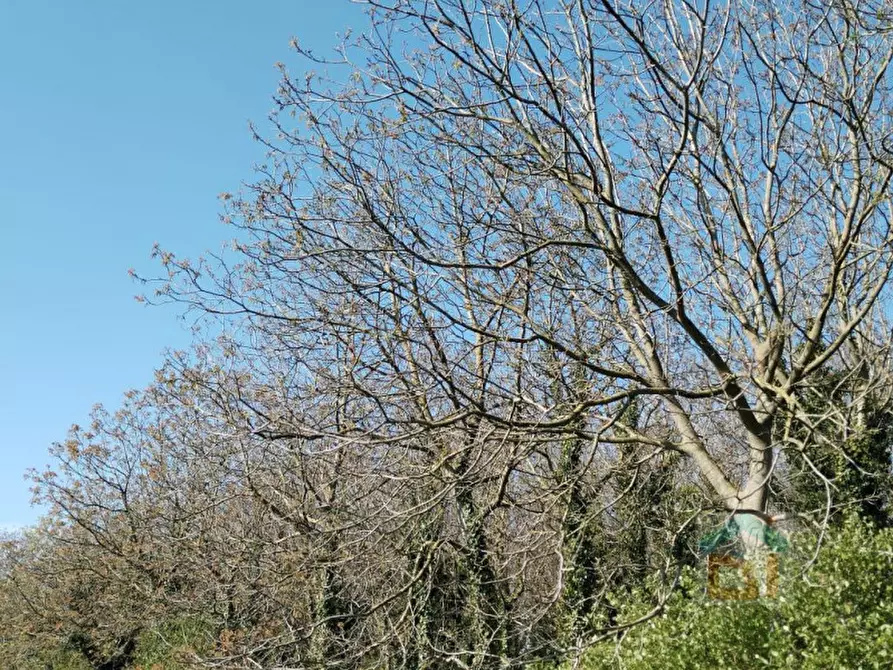 Immagine 11 di Terreno in vendita  in via Marconi snc a Aiello Del Friuli
