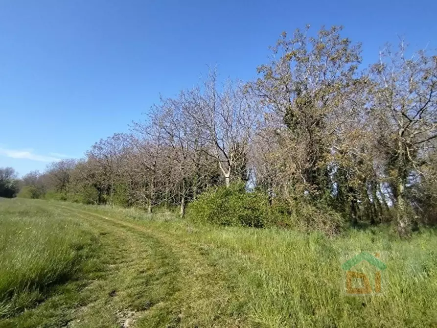 Immagine 15 di Terreno in vendita  in via Marconi snc a Aiello Del Friuli