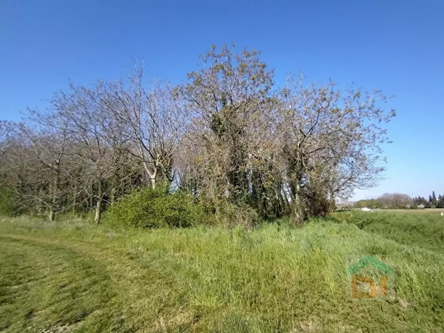 Immagine 16 di Terreno in vendita  in via Marconi snc a Aiello Del Friuli
