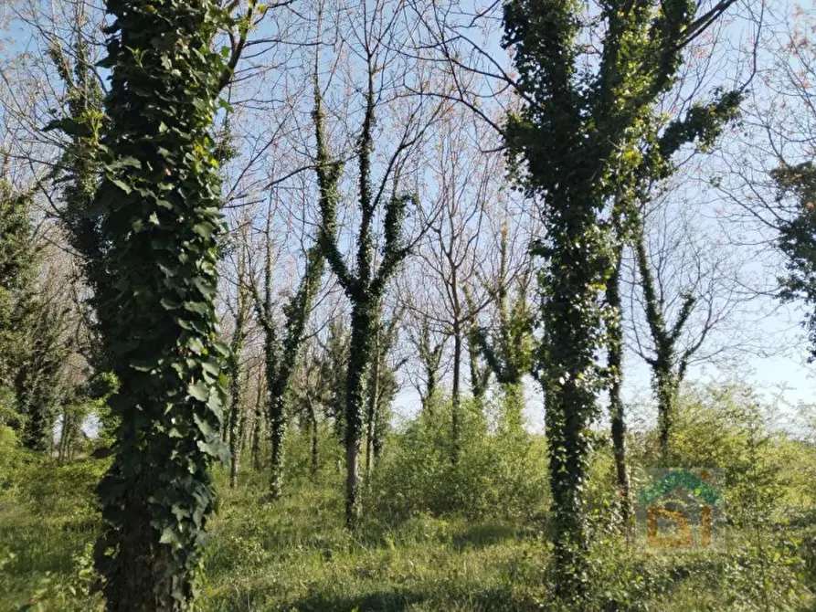 Immagine 17 di Terreno in vendita  in via Marconi snc a Aiello Del Friuli
