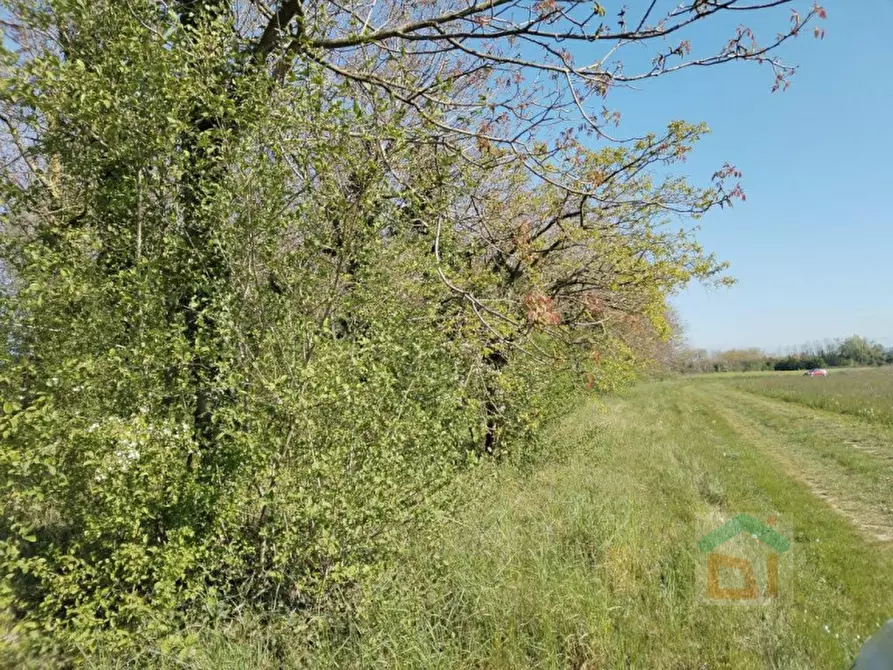 Immagine 25 di Terreno in vendita  in via Marconi snc a Aiello Del Friuli