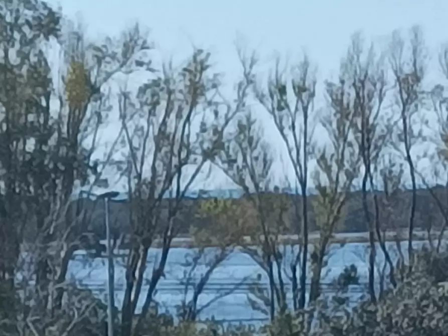 Immagine 7 di Appartamento in affitto  in Via Sardegna a Capalbio